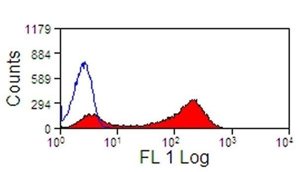 CD13 Antibody in Flow Cytometry (Flow)