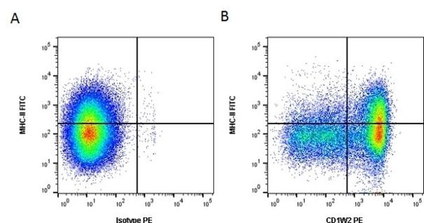 CD1w2 Antibody in Flow Cytometry (Flow)