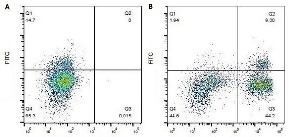 CD3 Antibody in Flow Cytometry (Flow)