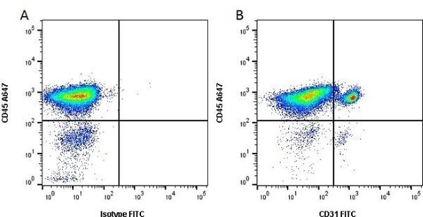 CD31 (PECAM-1) Antibody in Flow Cytometry (Flow)
