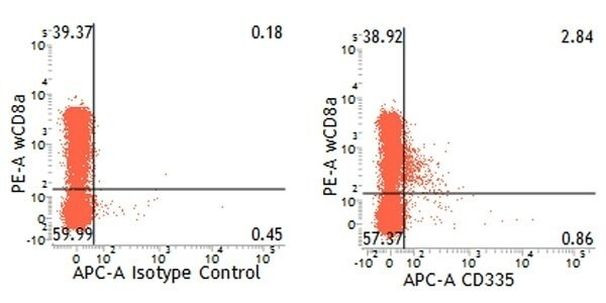 CD335 (NKp46) Antibody in Flow Cytometry (Flow)