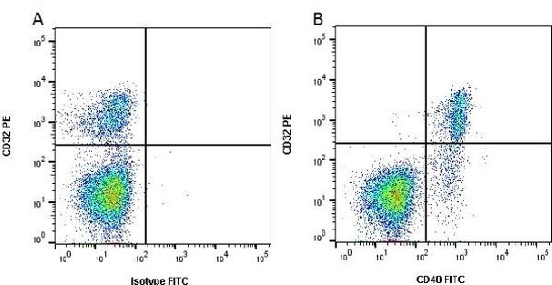 CD40 Antibody in Flow Cytometry (Flow)