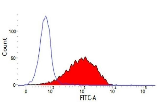 CD44 Antibody in Flow Cytometry (Flow)