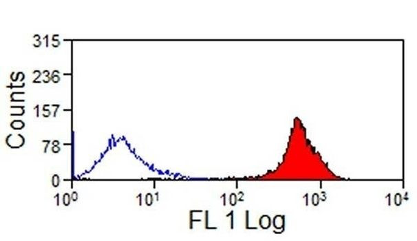 CD44 Antibody in Flow Cytometry (Flow)