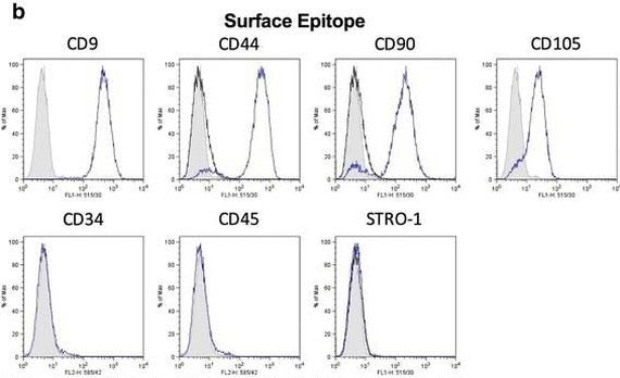 CD45 Antibody in Flow Cytometry (Flow)