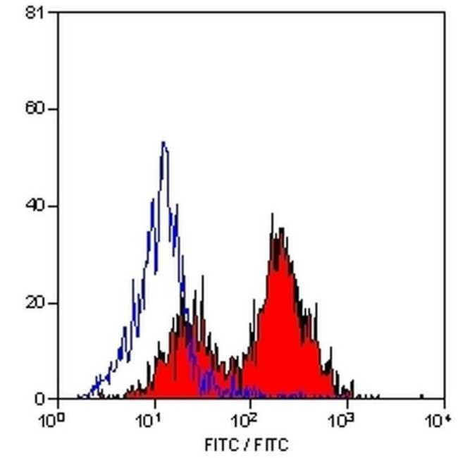 CD5 Antibody in Flow Cytometry (Flow)