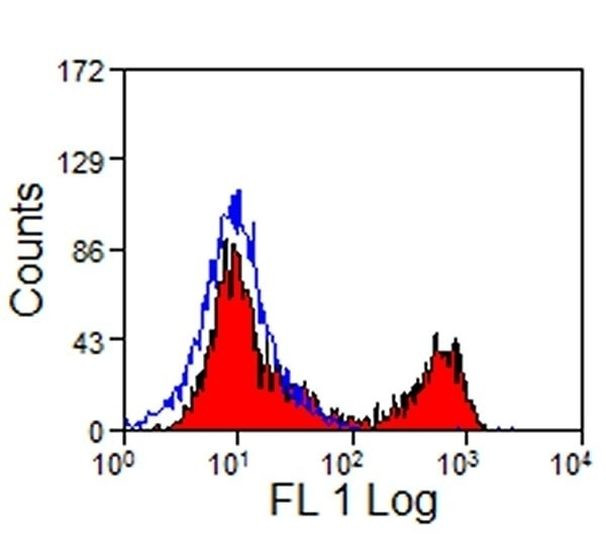 CD8 Antibody in Flow Cytometry (Flow)