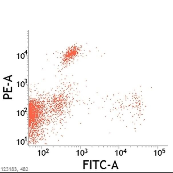 CD8 Antibody in Flow Cytometry (Flow)