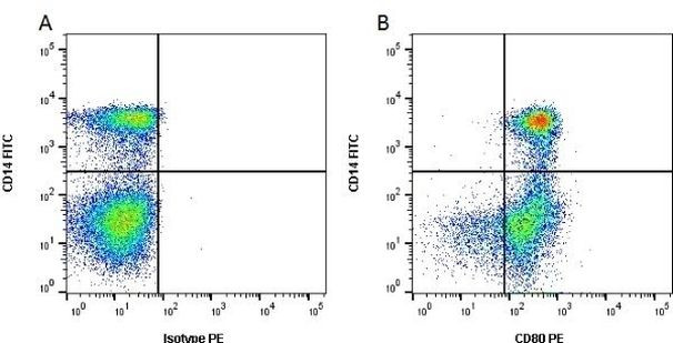 CD80 (B7-1) Antibody in Flow Cytometry (Flow)