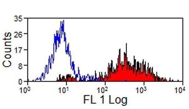SLA Class II DR Antibody in Flow Cytometry (Flow)