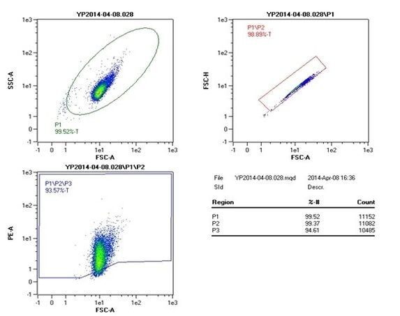 TNF alpha Antibody in Flow Cytometry (Flow)
