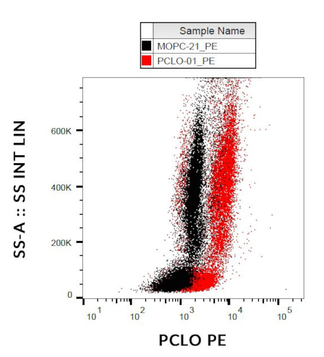 PCLO Antibody in Flow Cytometry (Flow)