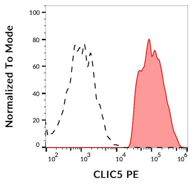 CLIC5 Antibody in Flow Cytometry (Flow)