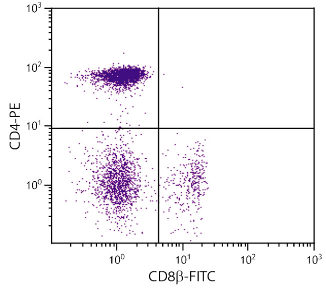 CD8b Antibody in Flow Cytometry (Flow)