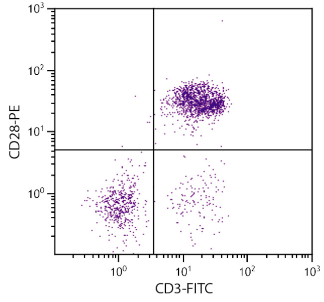 CD28 Antibody in Flow Cytometry (Flow)