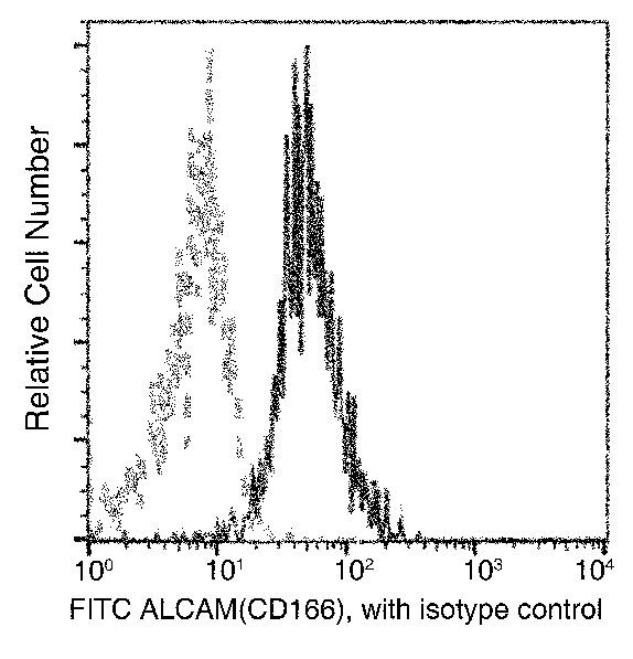 CD166 Antibody in Flow Cytometry (Flow)