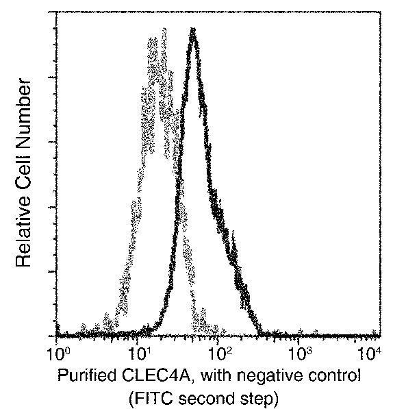 CLEC4A Antibody in Flow Cytometry (Flow)