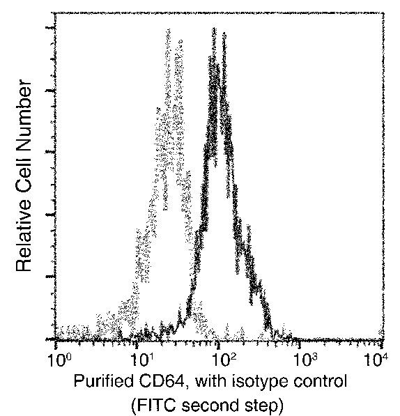 CD64 Recombinant Monoclonal Antibody (407) (MA5-29262)
