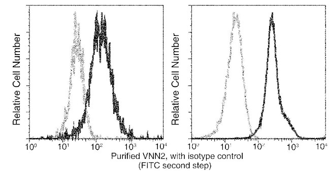 VNN2 Antibody in Flow Cytometry (Flow)