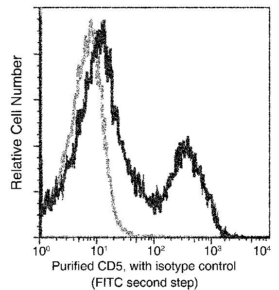 CD5 Antibody in Flow Cytometry (Flow)