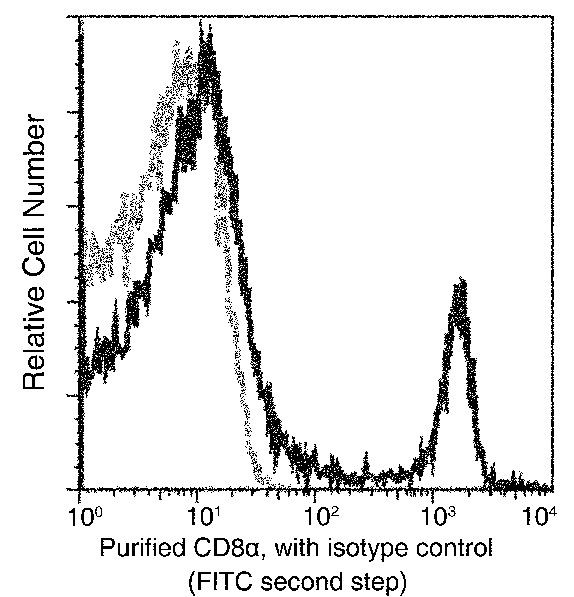 CD8 alpha Antibody in Flow Cytometry (Flow)