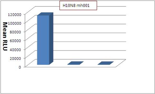 Influenza A H10N8 HA Antibody in Neutralization (Neu)