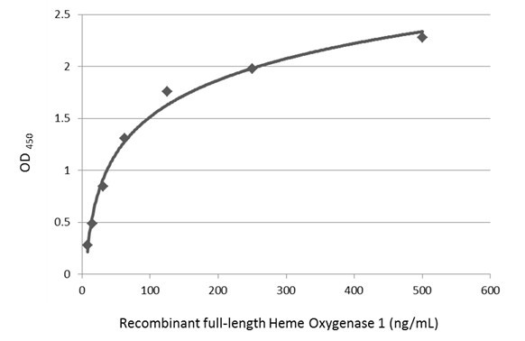 HMOX1 Antibody in ELISA (ELISA)