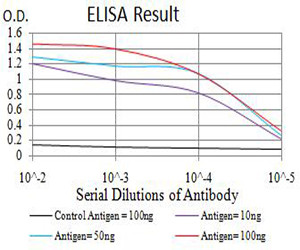 ADAR Antibody in ELISA (ELISA)
