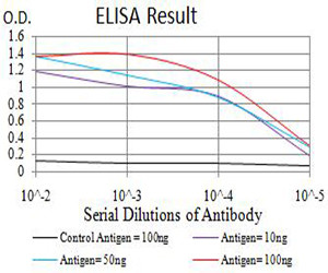 Bcl-B Antibody in ELISA (ELISA)