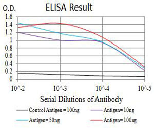 BCMA Antibody in ELISA (ELISA)