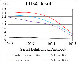 PLA2G12A Antibody in ELISA (ELISA)