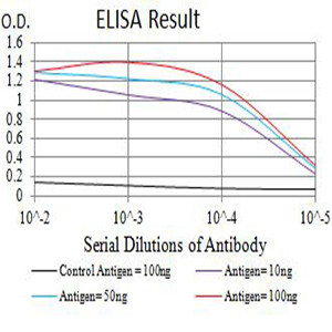TLL1 Antibody in ELISA (ELISA)