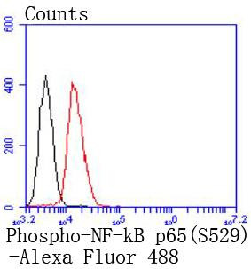 Phospho-NFkB p65 (Ser529) Antibody in Flow Cytometry (Flow)
