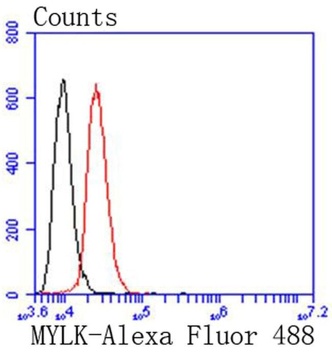 MYLK Antibody in Flow Cytometry (Flow)