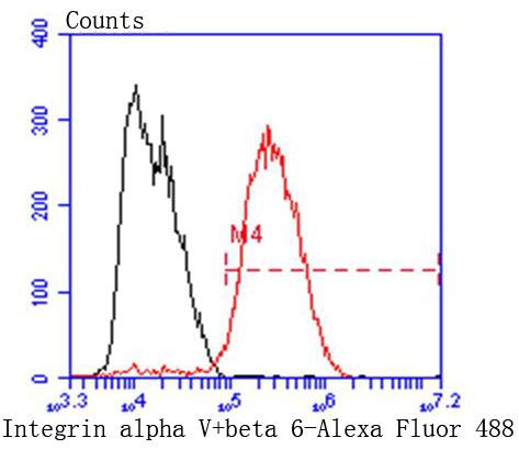 CD51 Antibody in Flow Cytometry (Flow)