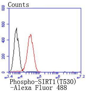 Phospho-SIRT1 (Thr530) Antibody in Flow Cytometry (Flow)