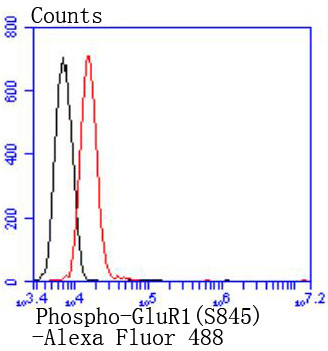 Phospho-GluR1 (Ser845) Antibody in Flow Cytometry (Flow)