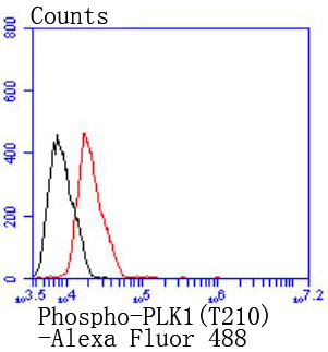 Phospho-PLK1 (Thr210) Antibody in Flow Cytometry (Flow)