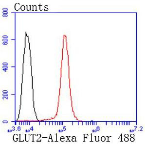 GLUT2 Antibody in Flow Cytometry (Flow)
