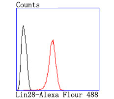 LIN28A Antibody in Flow Cytometry (Flow)