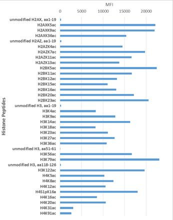 Acetylated Lysine Antibody in Luminex (Luminex)