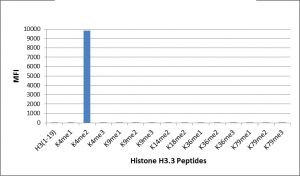 H3K4me2 Antibody in Luminex (Luminex)