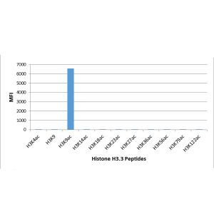 H3K9ac Antibody in Luminex (Luminex)