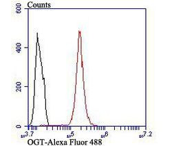 OGT Antibody in Flow Cytometry (Flow)
