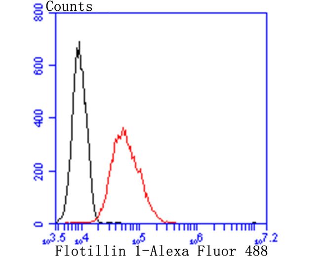 Flotillin 1 Antibody in Flow Cytometry (Flow)