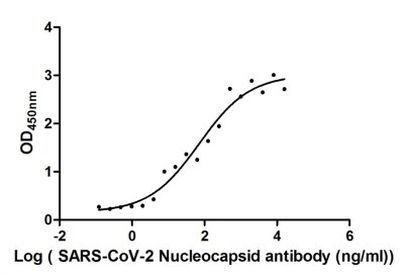 SARS-CoV-2 Nucleocapsid Chimeric Antibody in ELISA (ELISA)