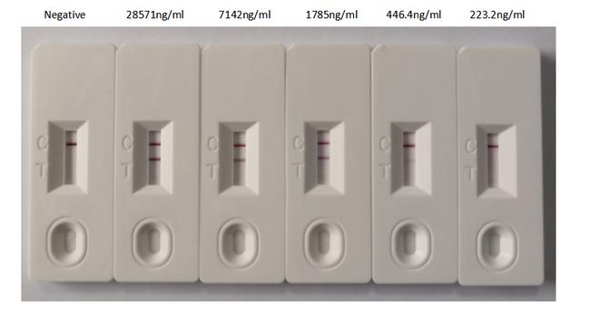 SARS-CoV-2 Nucleocapsid Chimeric Antibody in Lateral Flow (LF)