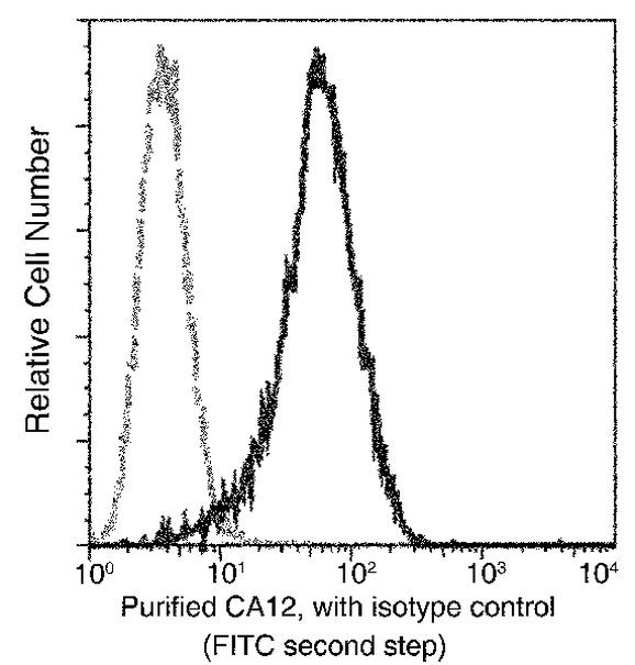 CA12 Antibody in Flow Cytometry (Flow)