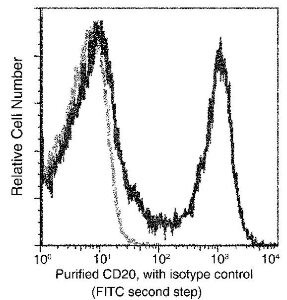 CD20 Antibody in Flow Cytometry (Flow)