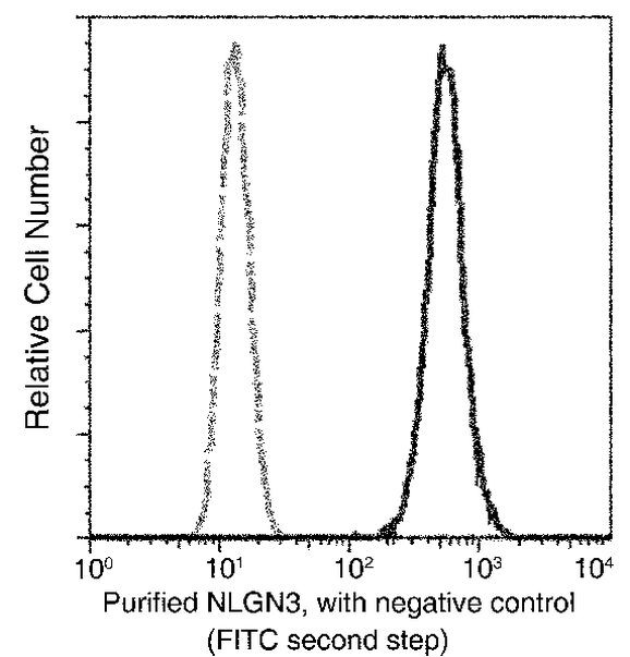 NLGN3 Antibody in Flow Cytometry (Flow)
